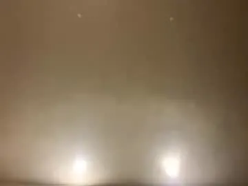 rotteei1 – webcam model profile photo